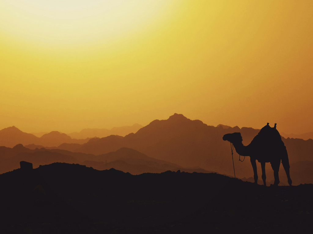 Sharm El Sheikh airport transfer service